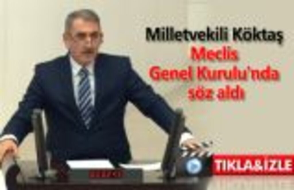 Milletvekili Köktaş Meclis Genel Kurulu'nda söz aldı