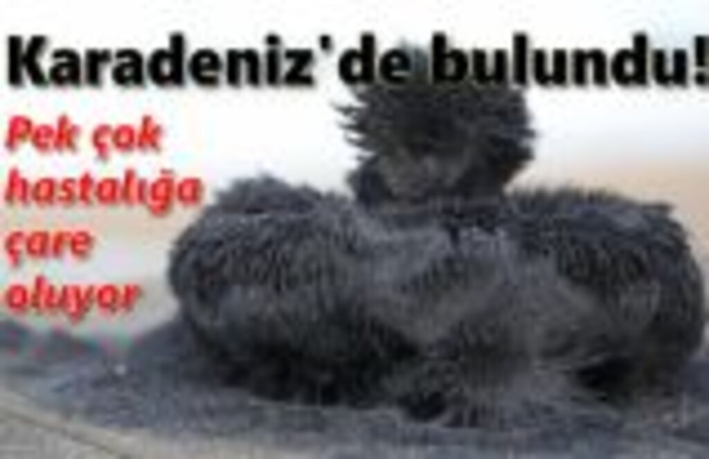 Doğal sağlık cevheri: manyetik siyah kum