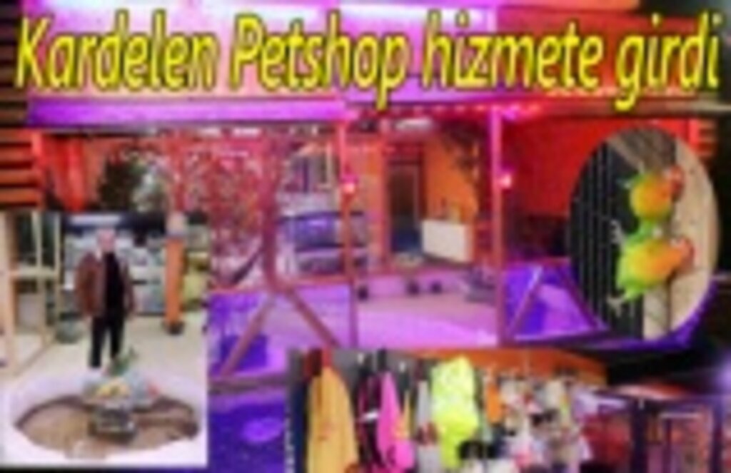 Kardelen Petshop hizmete girdi