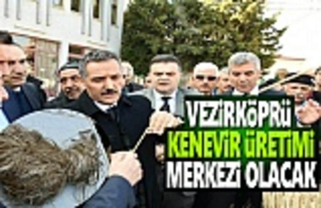 Samsun Vezirköprü Kenevir Üretimi Merkezi Olacak