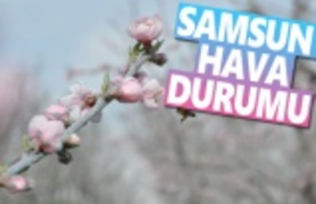 04 Mart Pazartesi Samsun Hava Durumu