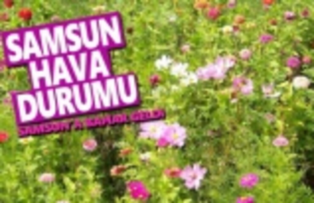 10 Mart Pazar Samsun Hava Durumu