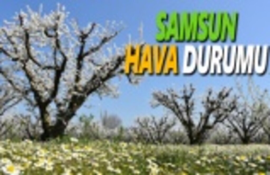 11 Mart Pazartesi Samsun Hava Durumu