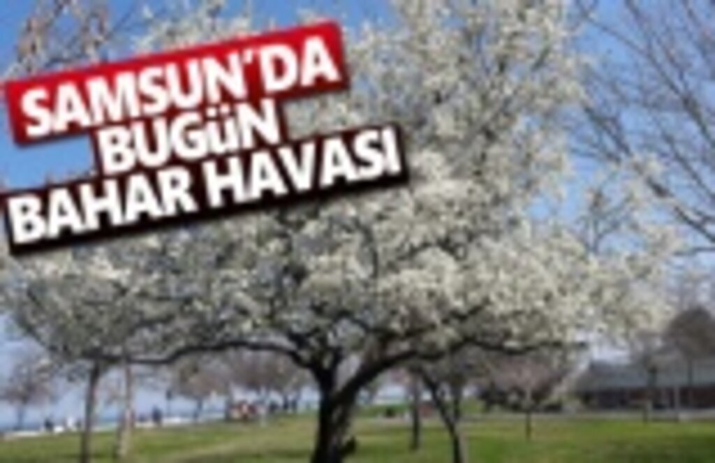 26 Mart Salı Samsun Hava Durumu