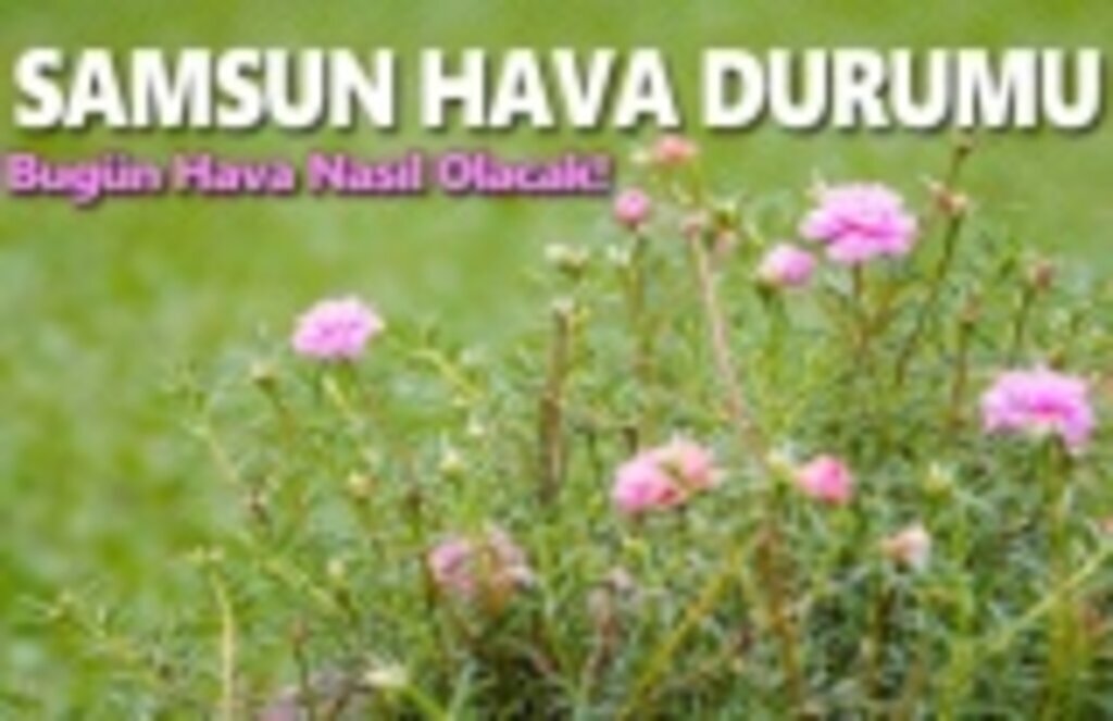 8 Mart Cuma Samsun Hava Durumu