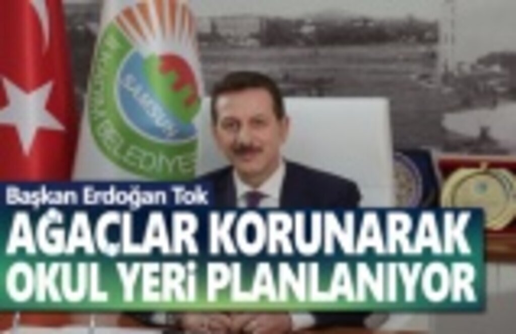 Başkan Tok, Ağaçlar korunarak okul yeri planlanıyor