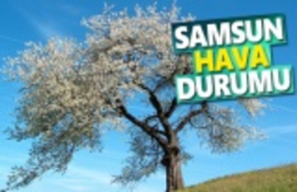 3 Nisan Çarşamba Samsun Hava Durumu