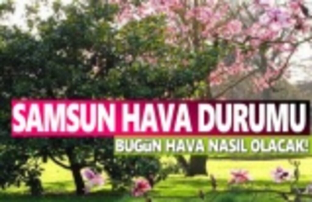 30 Nisan Salı Samsun Hava Durumu
