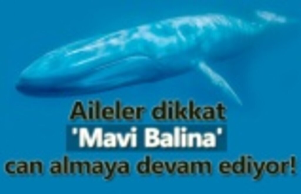 Mavi balina oyunu çocukları ölüme sürüklüyor!