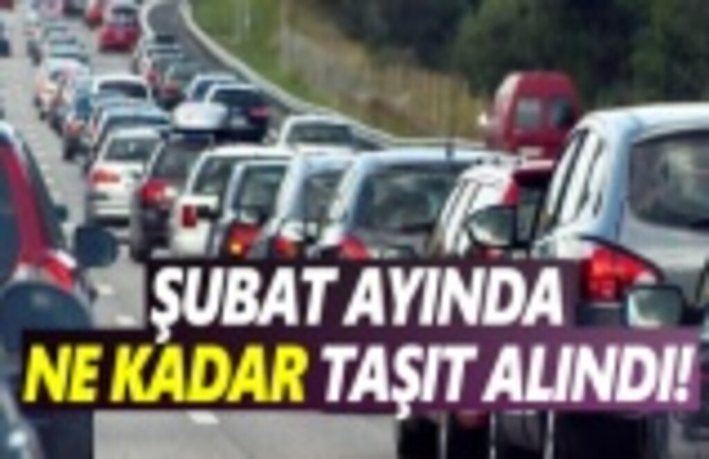 Şubat Ayında Taşıt Nekadar Alındı