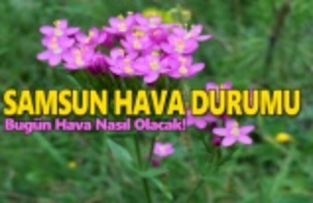 14 Mayıs Salı Samsun Hava Durumu