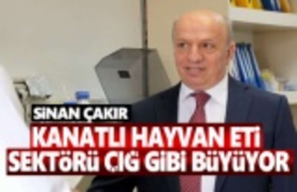 Japonlar Türk Tavuğunu Sevdi