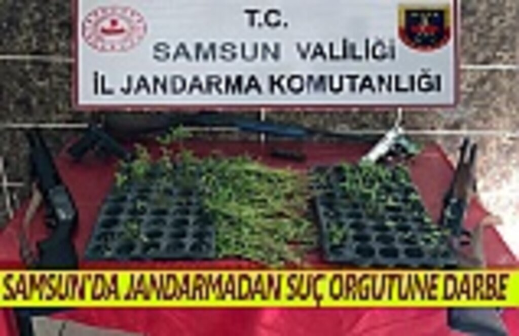 Samsun'da suç örgütüne darbe