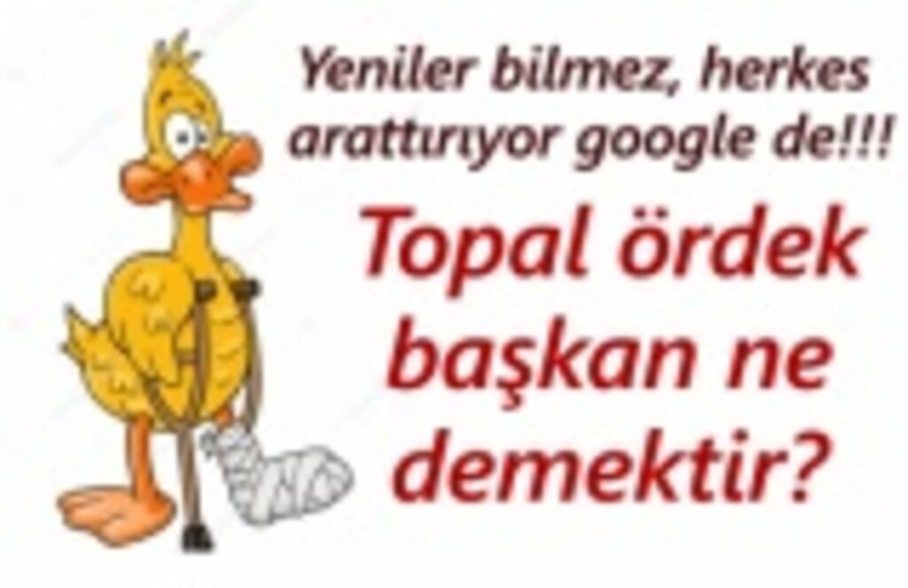 Topal ördek başkan nedir? Topal ördek anlamı?