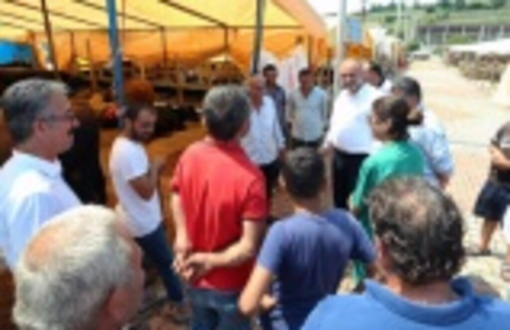 Canik'te Kurban Pazarı hazır