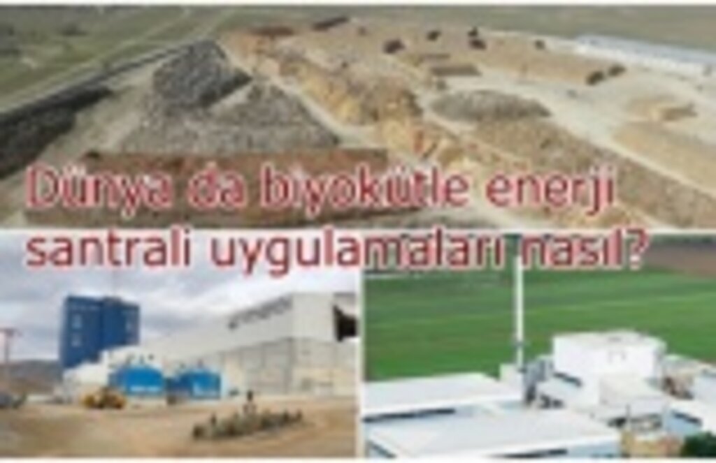 Dünya da biyokütle enerji santrali uygulamaları nasıl?