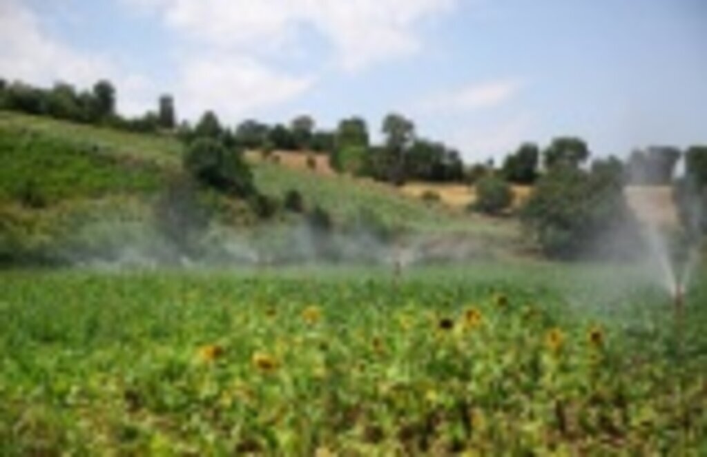 Samsun 221 bin 280 Dekar Tarım Arazisi Sulandı