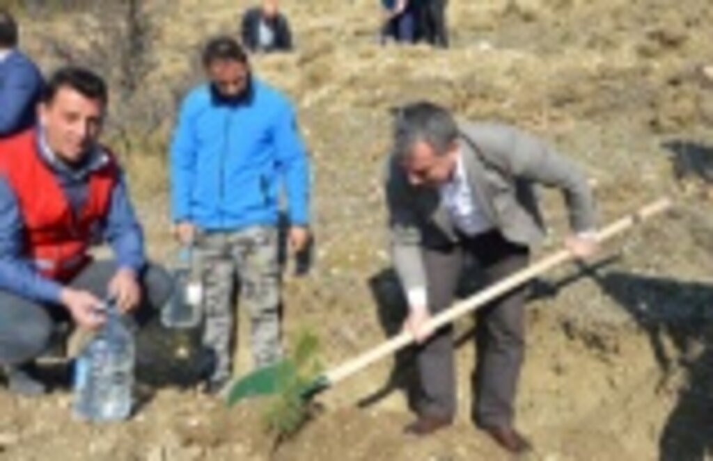 Havza'da Geleceğe Nefes Fidan Dikimi