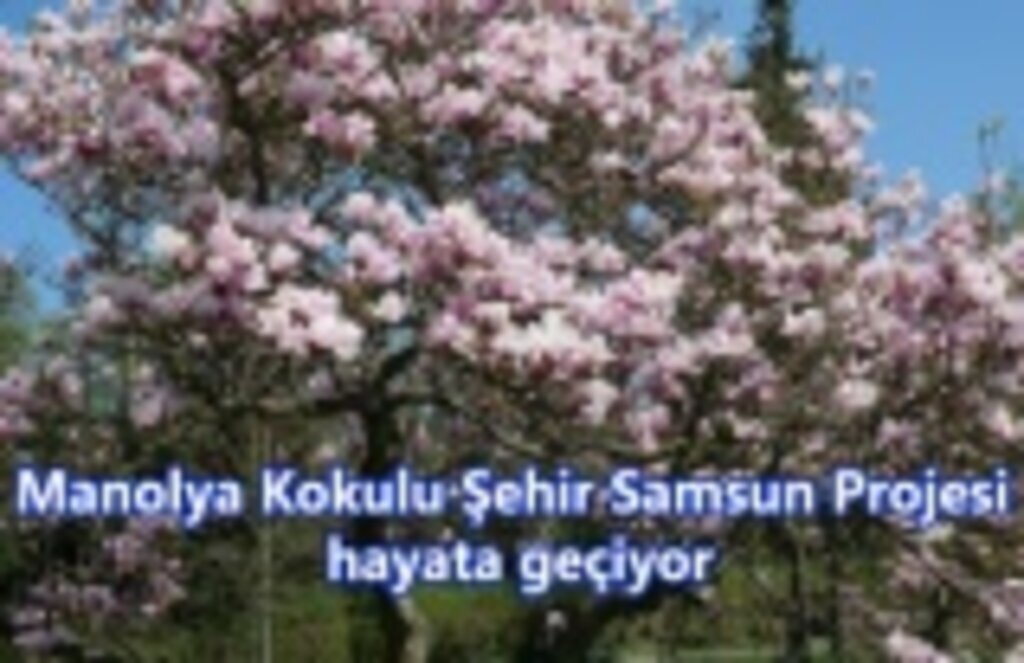 Manolya Kokulu Şehir Samsun Projesi hayata geçiyor