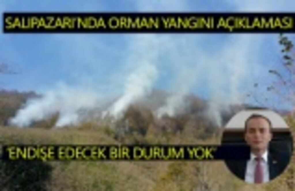 Salıpazarı'nda yaşanan orman yangınında endişelenecek durum yok