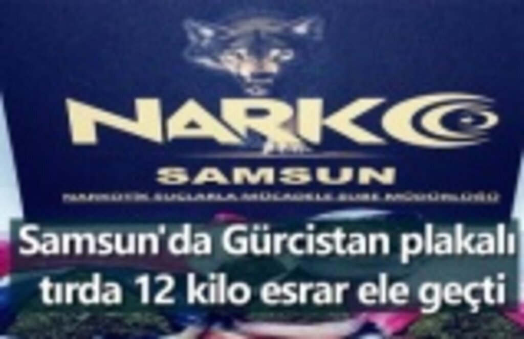 Samsun'da Gürcistan plakalı tırda 12 kilo esrar ele geçti