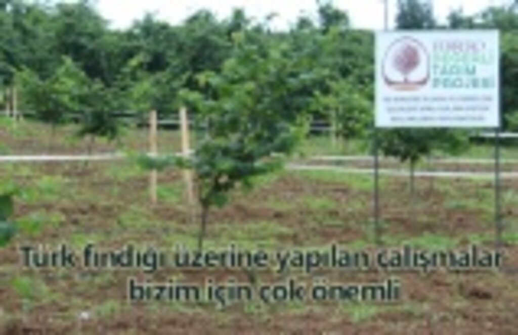 Schlesinger: Türk fındığı üzerine yapılan çalışmalar bizim için çok önemli