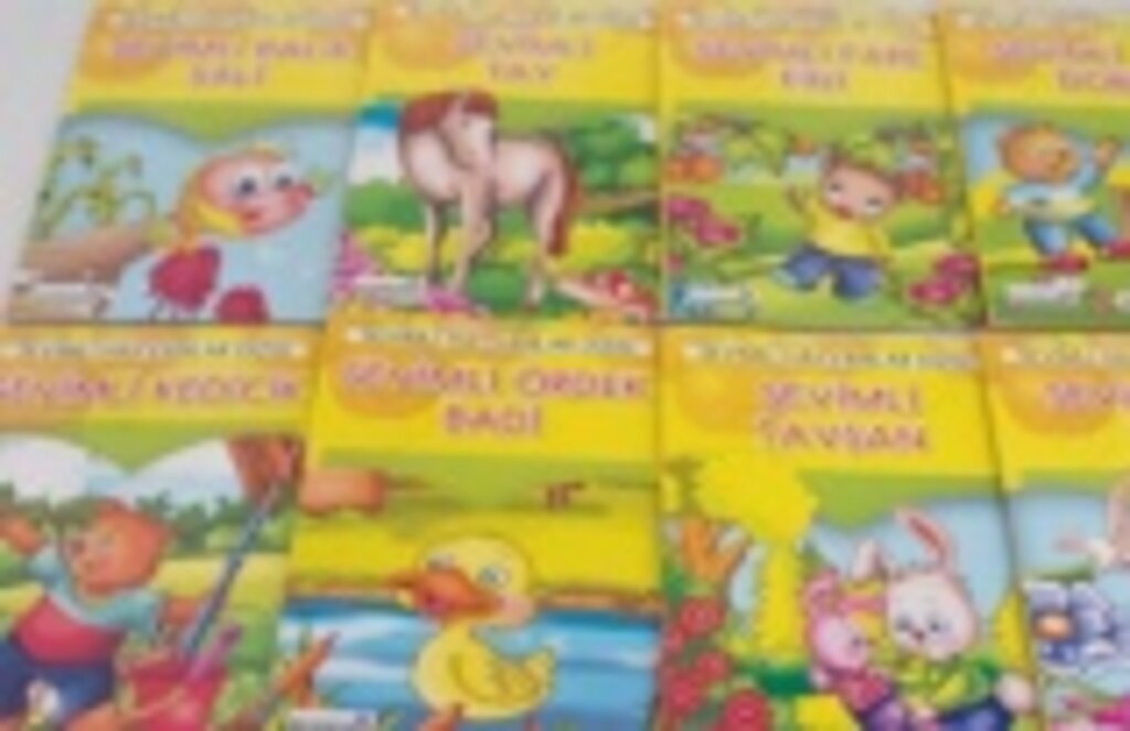 1. Sınıf Hikaye Kitapları (Okuma Kitapları) Nedir ve Neden Önemlidir?