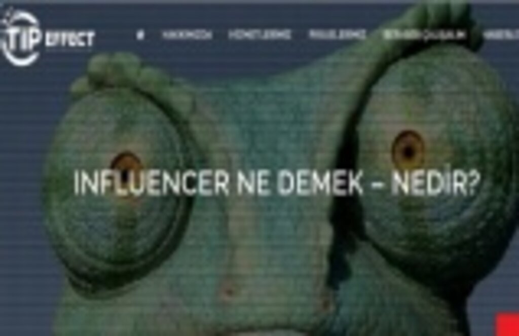 Influencer marketing nedir?