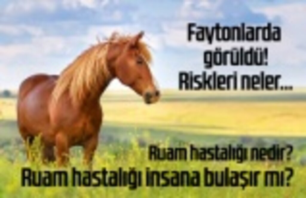 Ruam hastalığı nedir? mankafa hastalığı nedir?