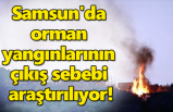Samsun'da orman yangınlarının çıkış sebebi araştırılıyor!