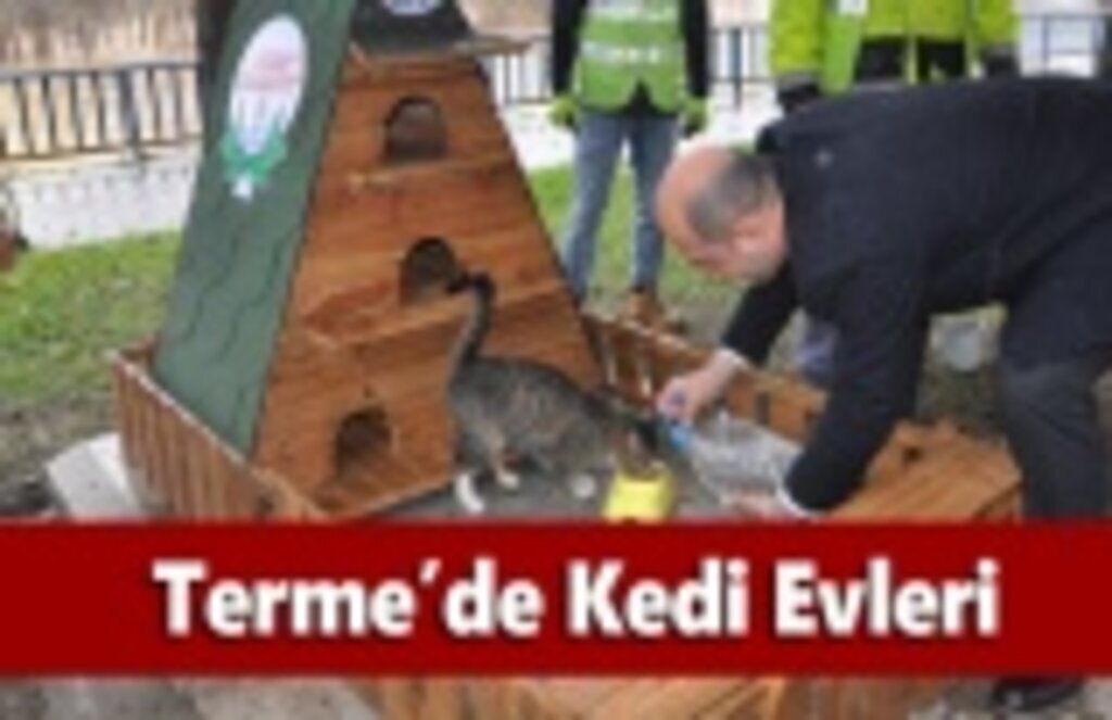 Terme'de Kedi Evleri