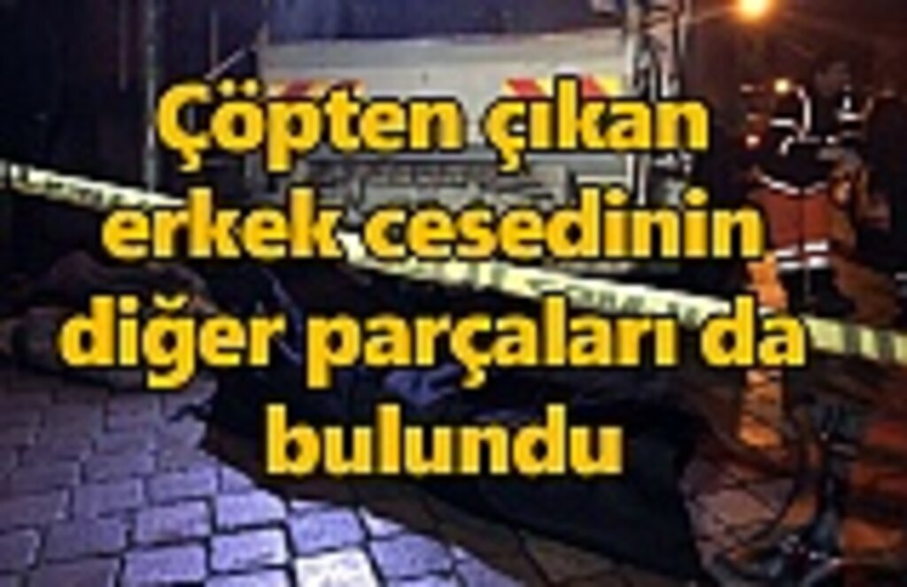 Çöpten çıkan erkek cesedinin diğer parçaları da bulundu