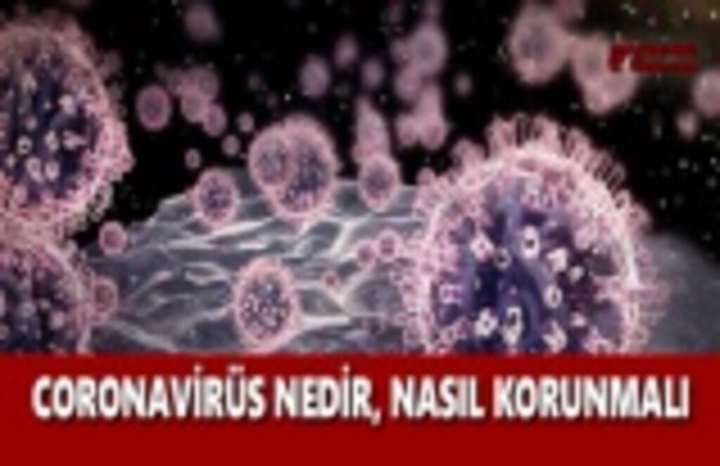 Corona Virüsü Nedir? Nasıl Bulaşır? Corona virüsü hangi hastalıklara neden olur? KORONA virüsü