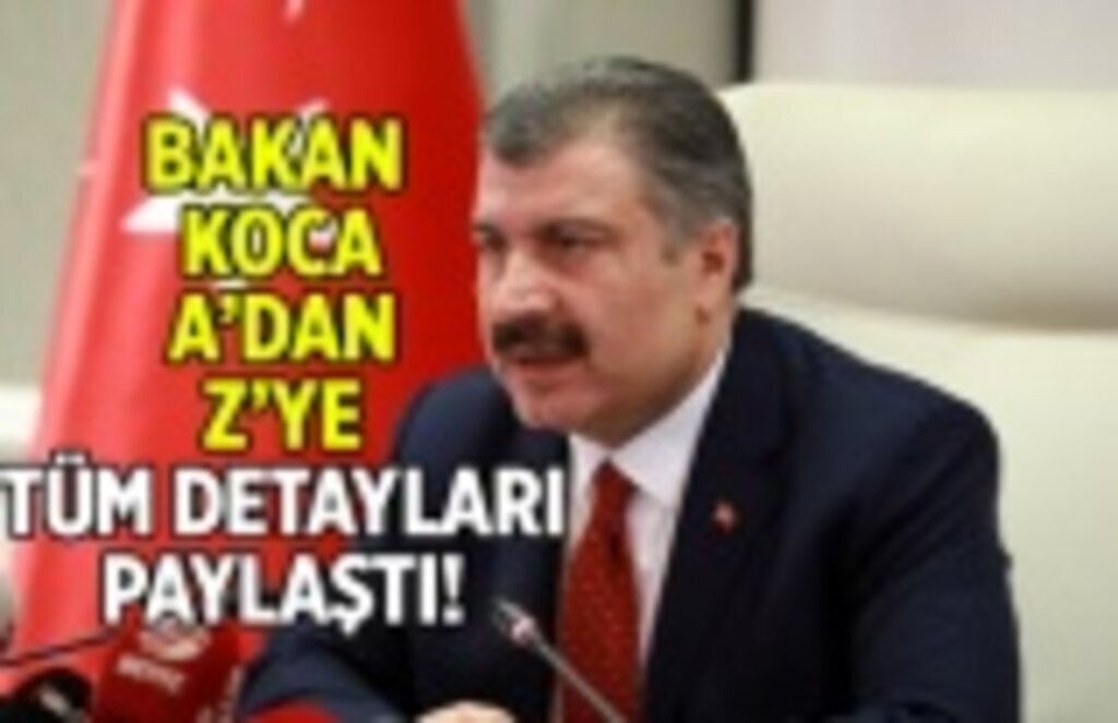 Koronavirüs Türkiye'de pik döneminde mi?