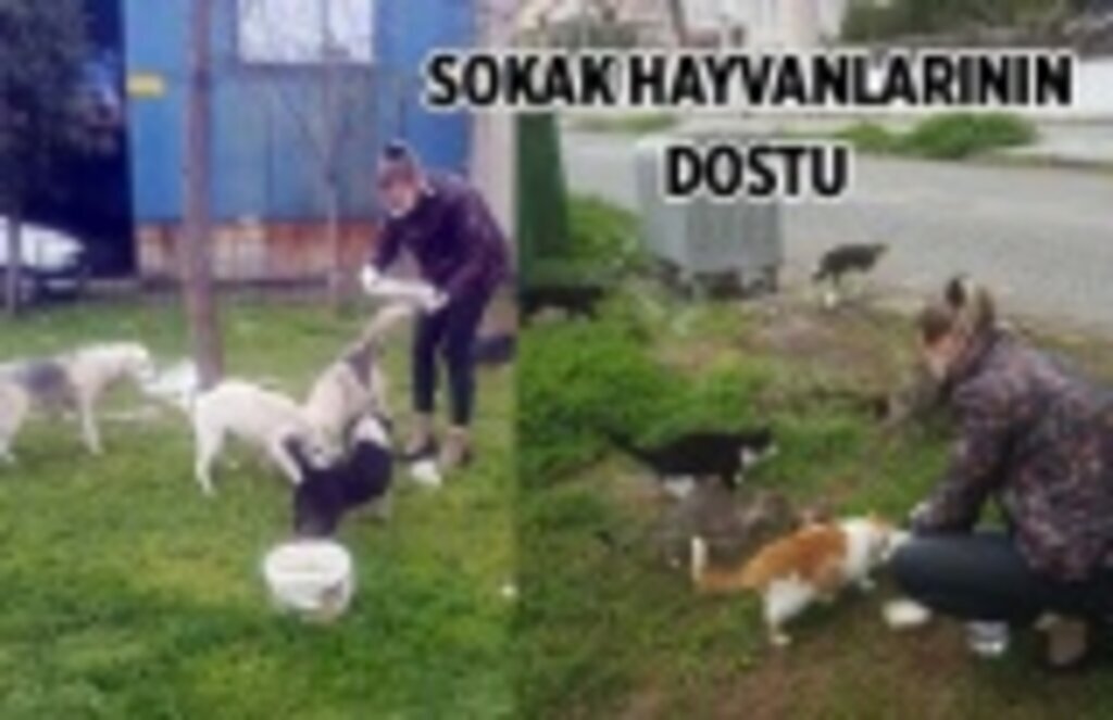 Samsun'da iş kadını sokak hayvanlarını besleyerek örnek davranış sergiliyor