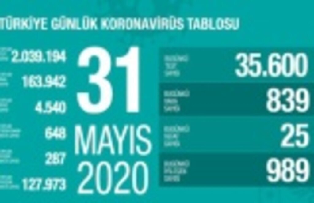 31 Mayıs Türkiye Koronavirüs raporu