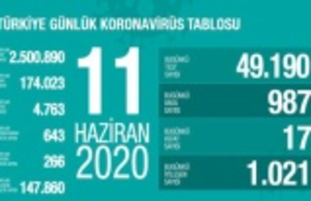 11 Haziran Türkiye Koronavirüs Tablosu, Koronavirüs vefat, vaka iyileşen, entübe sayısı