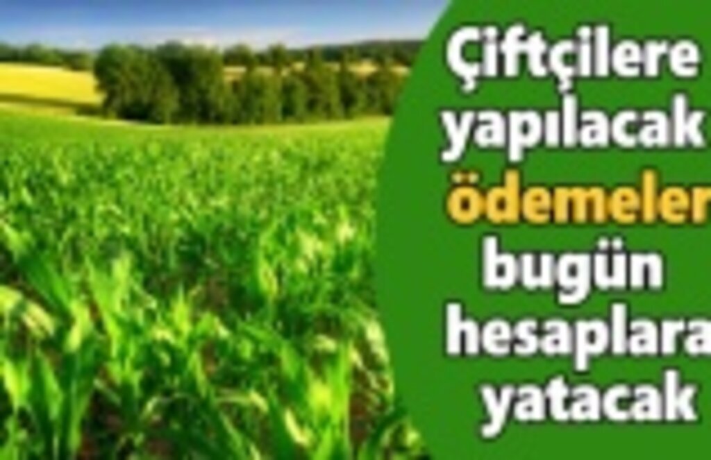 Çiftçilere yapılacak ödemeler bugün hesaplarında olacak