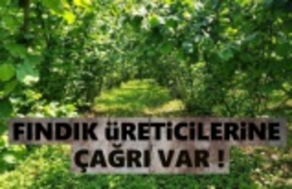 Fındık üreticisine Bahçeye Gel çağrısı