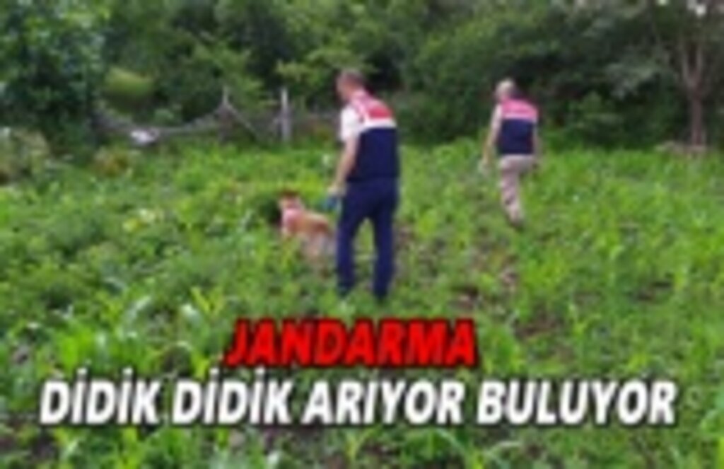 Jandarma didik didik arıyor buluyor