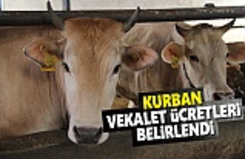 Kurban vekalet ücretleri belirlendi