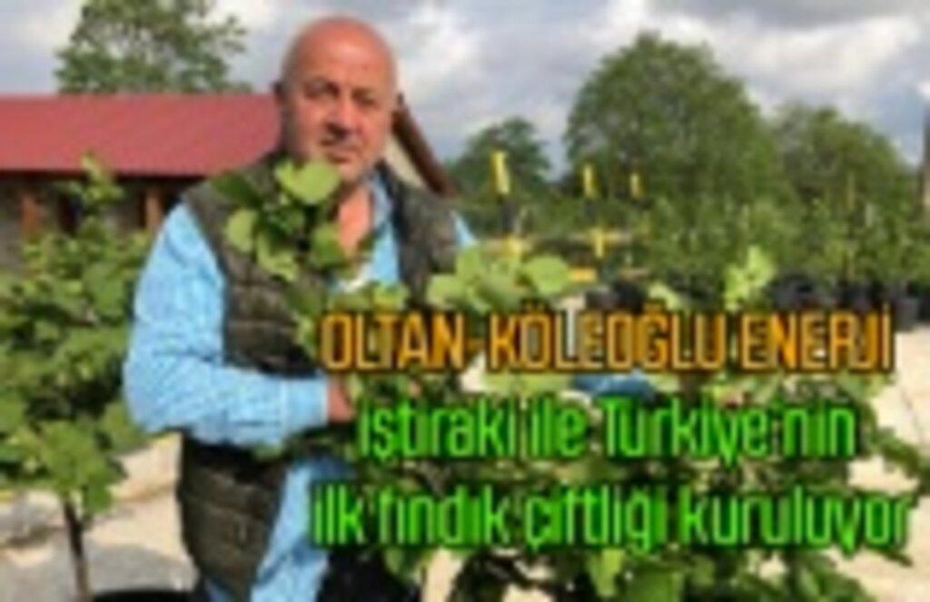 Oltan Köleoğlu Enerji, Samsun'dan tarıma büyük destek sağlayacak