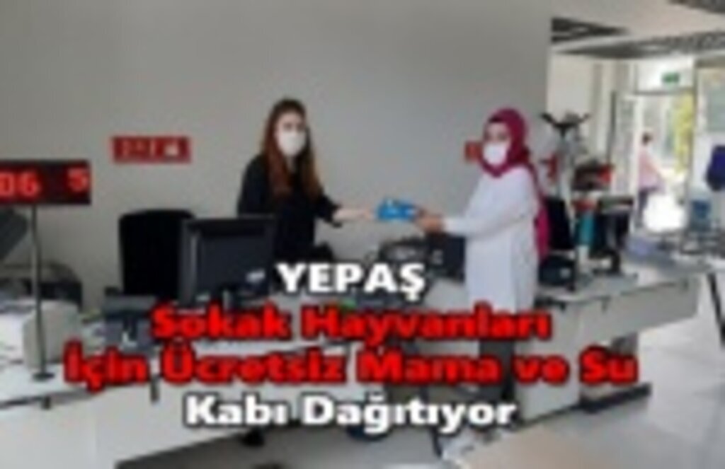 YEPAŞ Sokak Hayvanları İçin Ücretsiz Mama ve Su Kabı Dağıtıyor