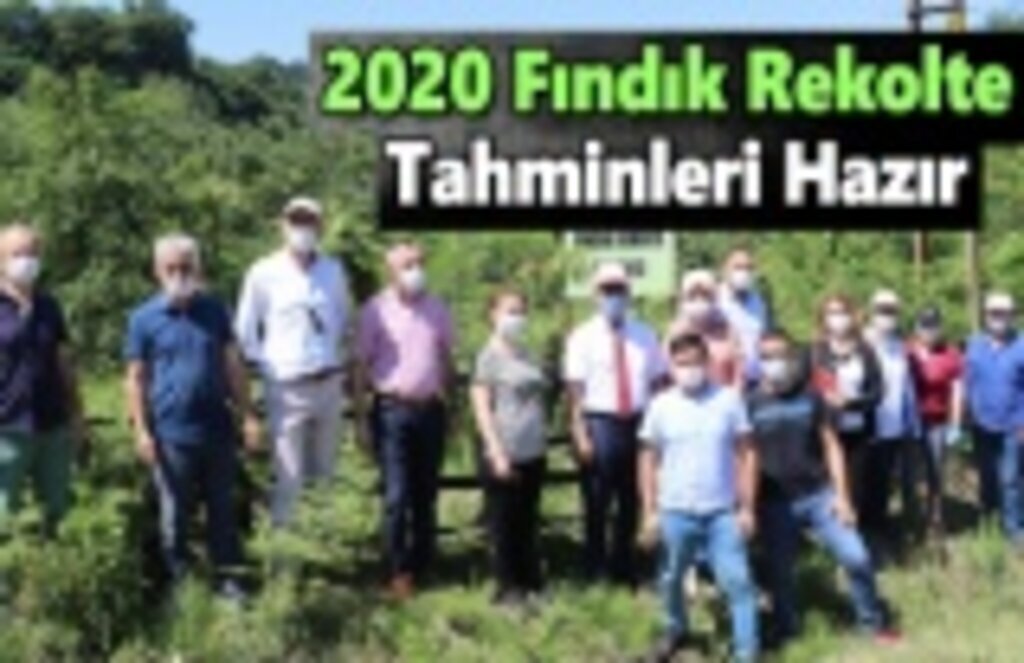 2020 Yılı Fındık Rekolte Tahmini Çalışmaları Tamamlandı