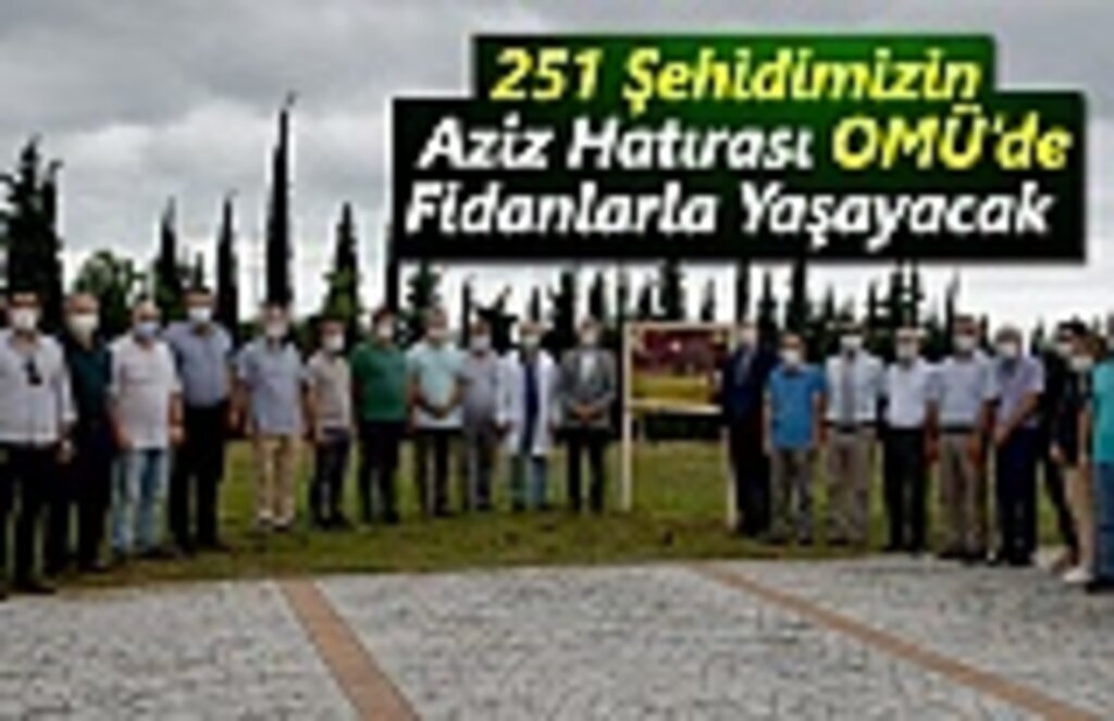 251 Şehidimizin Aziz Hatırası OMÜ’de Dikilen Fidanlarda Yaşayacak