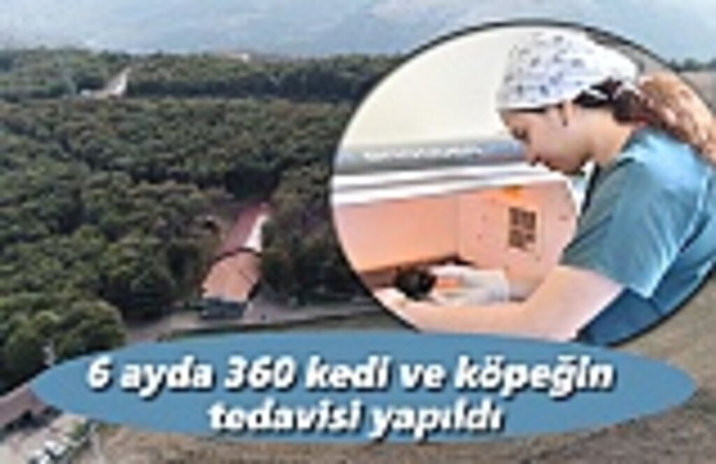 6 ayda 360 kedi ve köpeğin tedavisi yapıldı