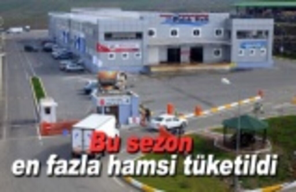 Bu sezon en fazla hamsi tüketildi