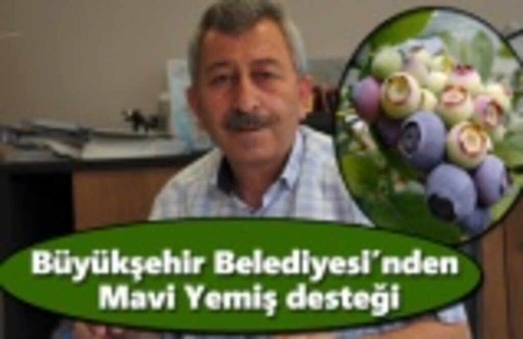 Büyükşehir Belediyesi’nden ‘Mavi Yemiş’ desteği