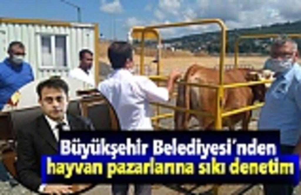 Büyükşehir Belediyesi’nden hayvan pazarlarına sıkı denetim