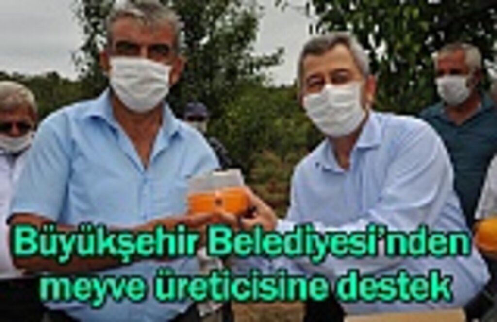 Büyükşehir Belediyesi’nden meyve üreticisine destek